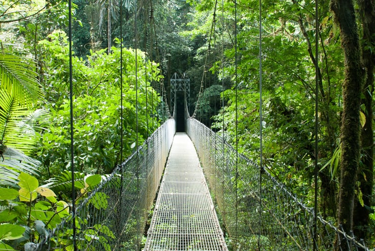 Jungle Bridge, La Fortuna Waterfall Hike